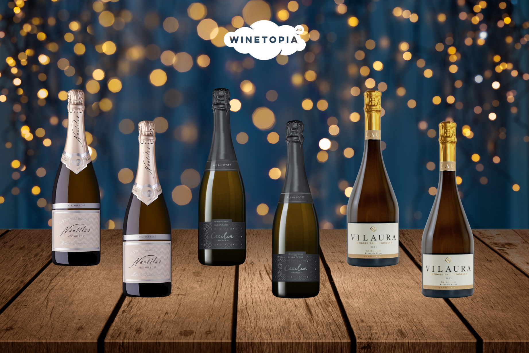Winetopia 2025 Collection: Bubbles of Joy Case